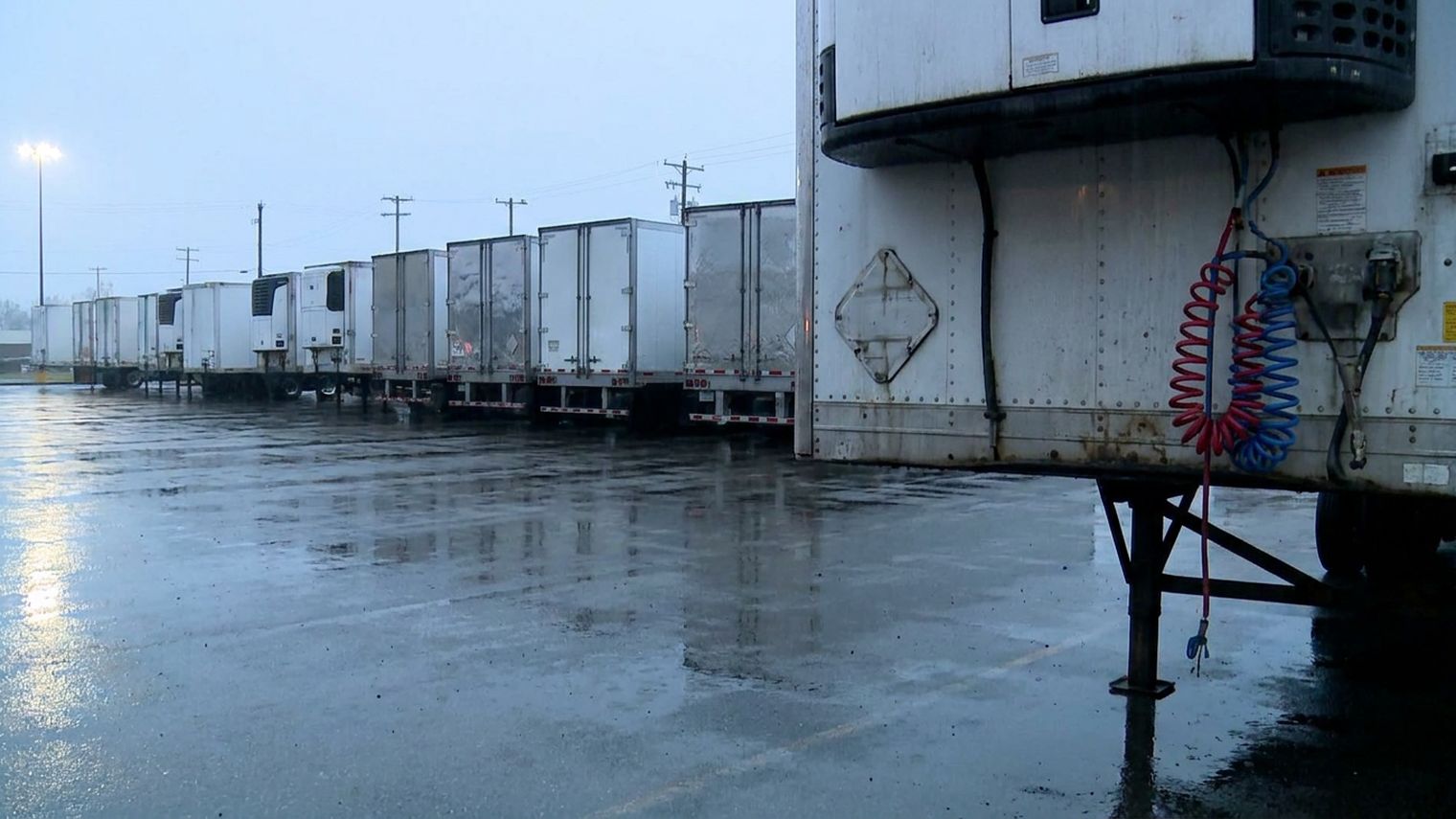 A line of white dry van and refrigerated semi-trailers parked rear-first on wet pavement at dawn, with coiled red and blue air lines and landing gear on the nearest trailer.